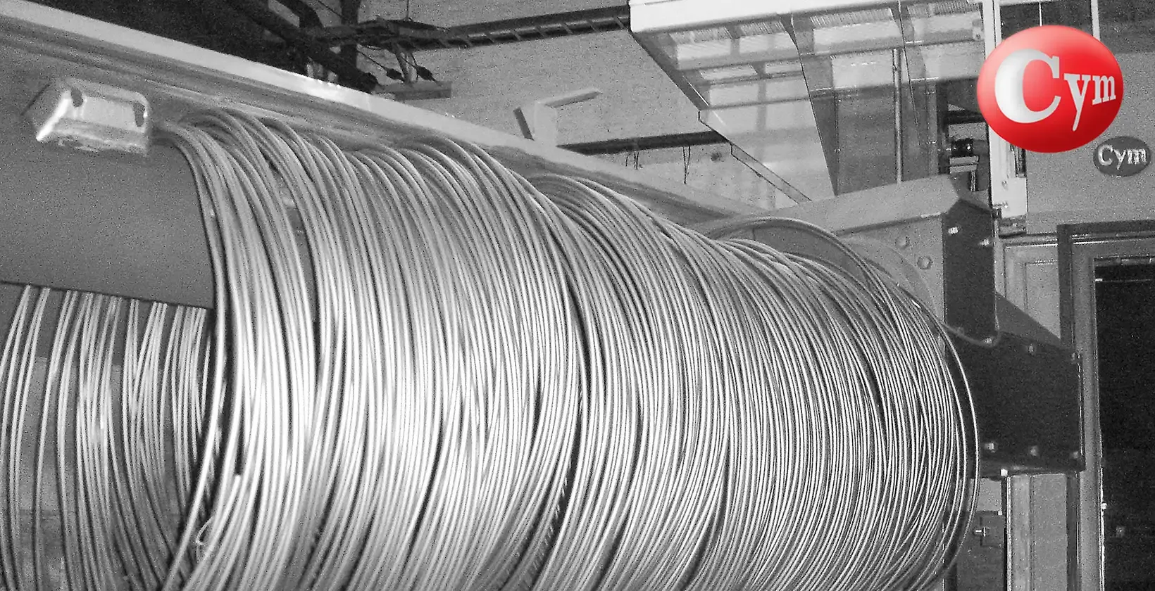 Granalladora COIL 4 CYM – alambre alto carbono granallado en mandril, superficie limpia para trefilar · Borroni, Argentina